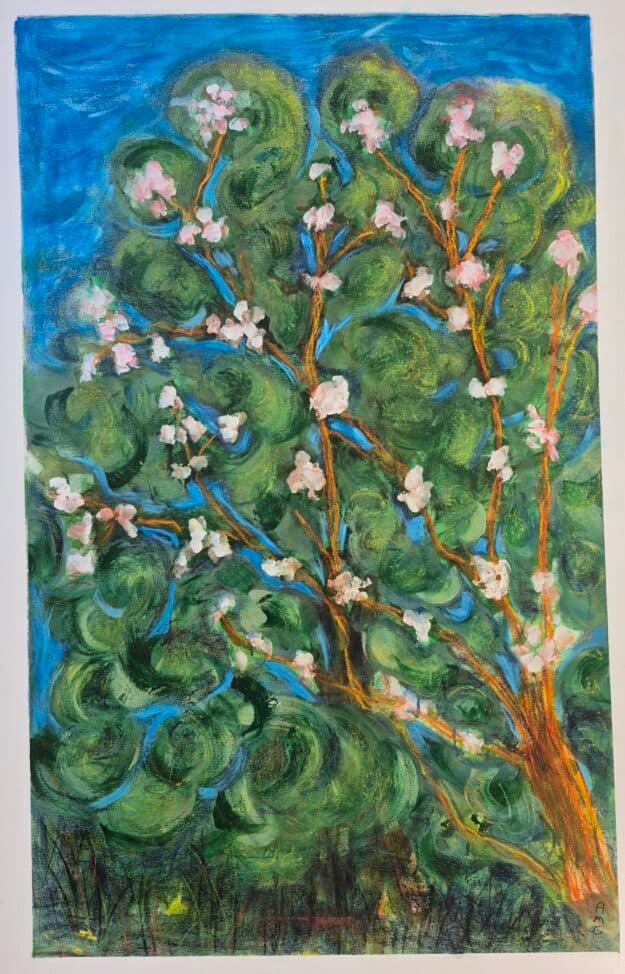 Daphne in Spring