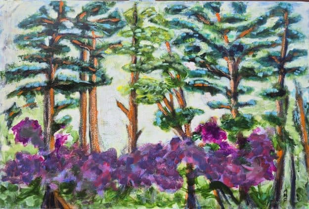 Woodland Rhododendrons