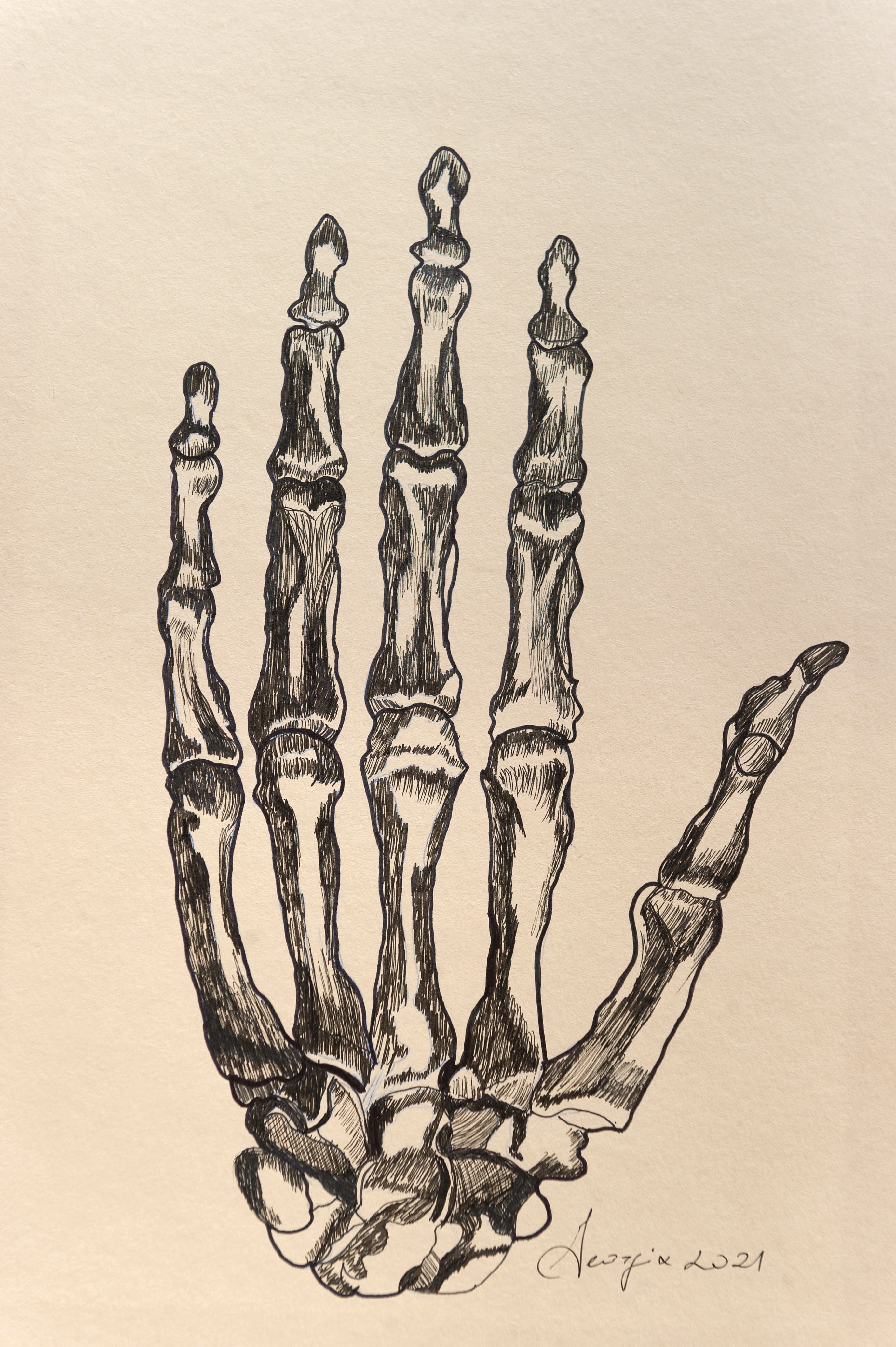 The hand