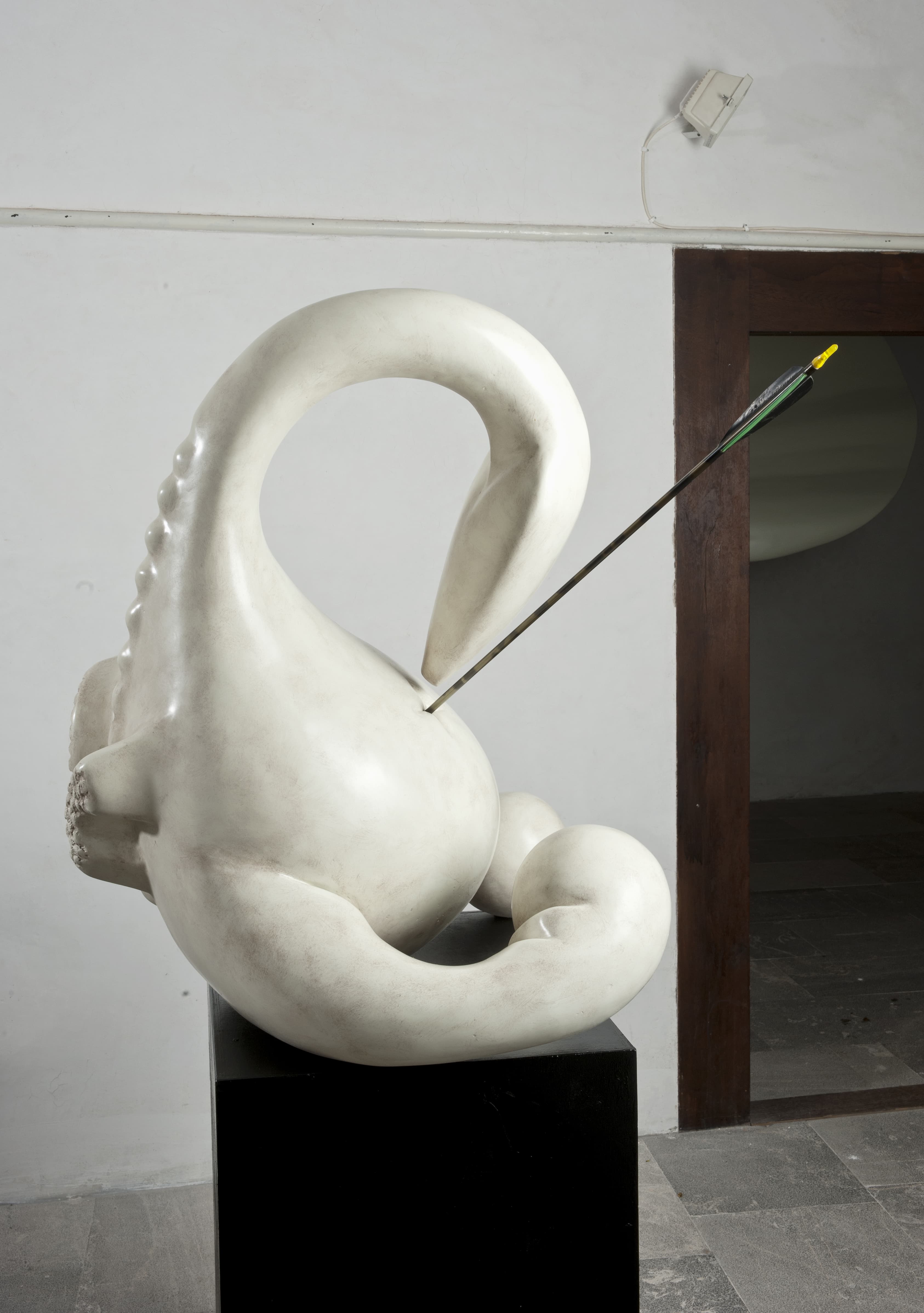 Swan