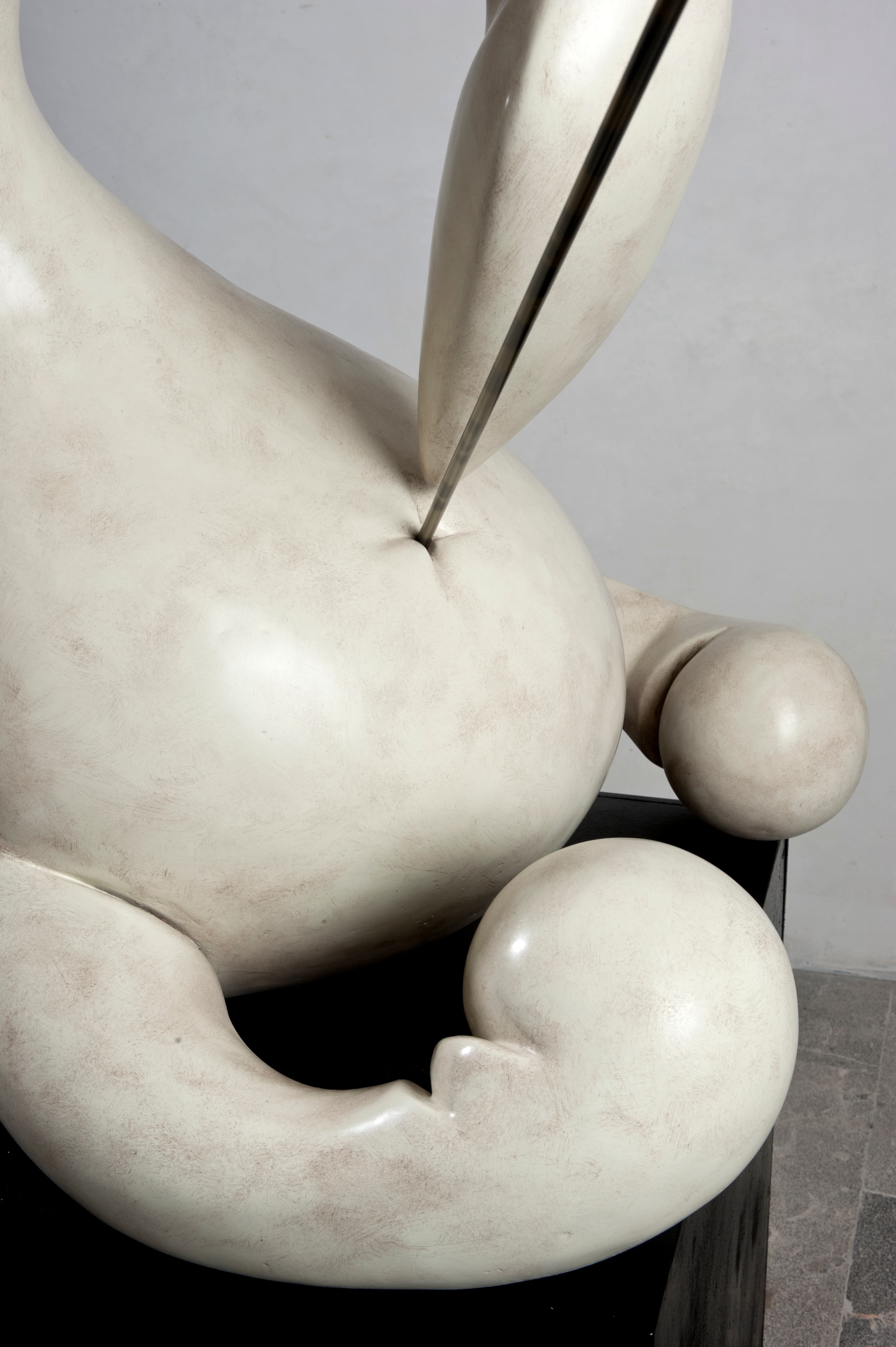 Swan