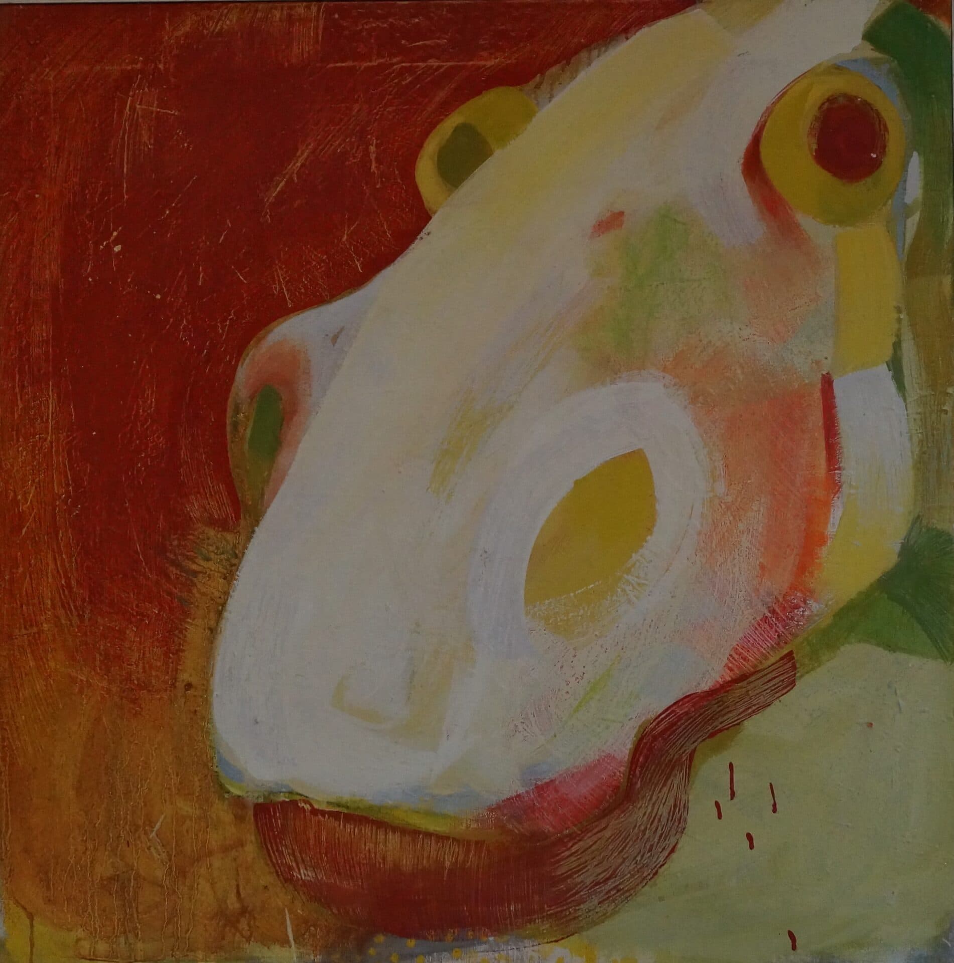 Portrait of a young horse