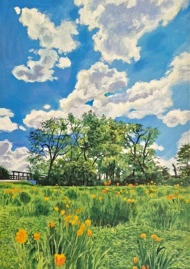 Tulip Meadow