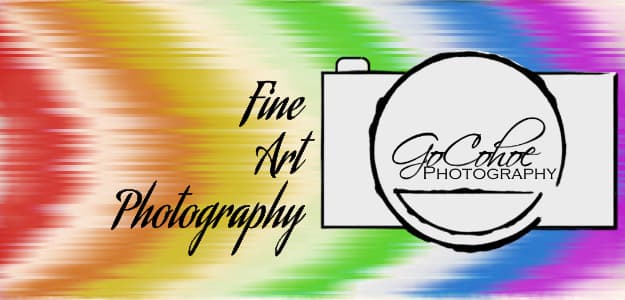 GoCohoe Photography