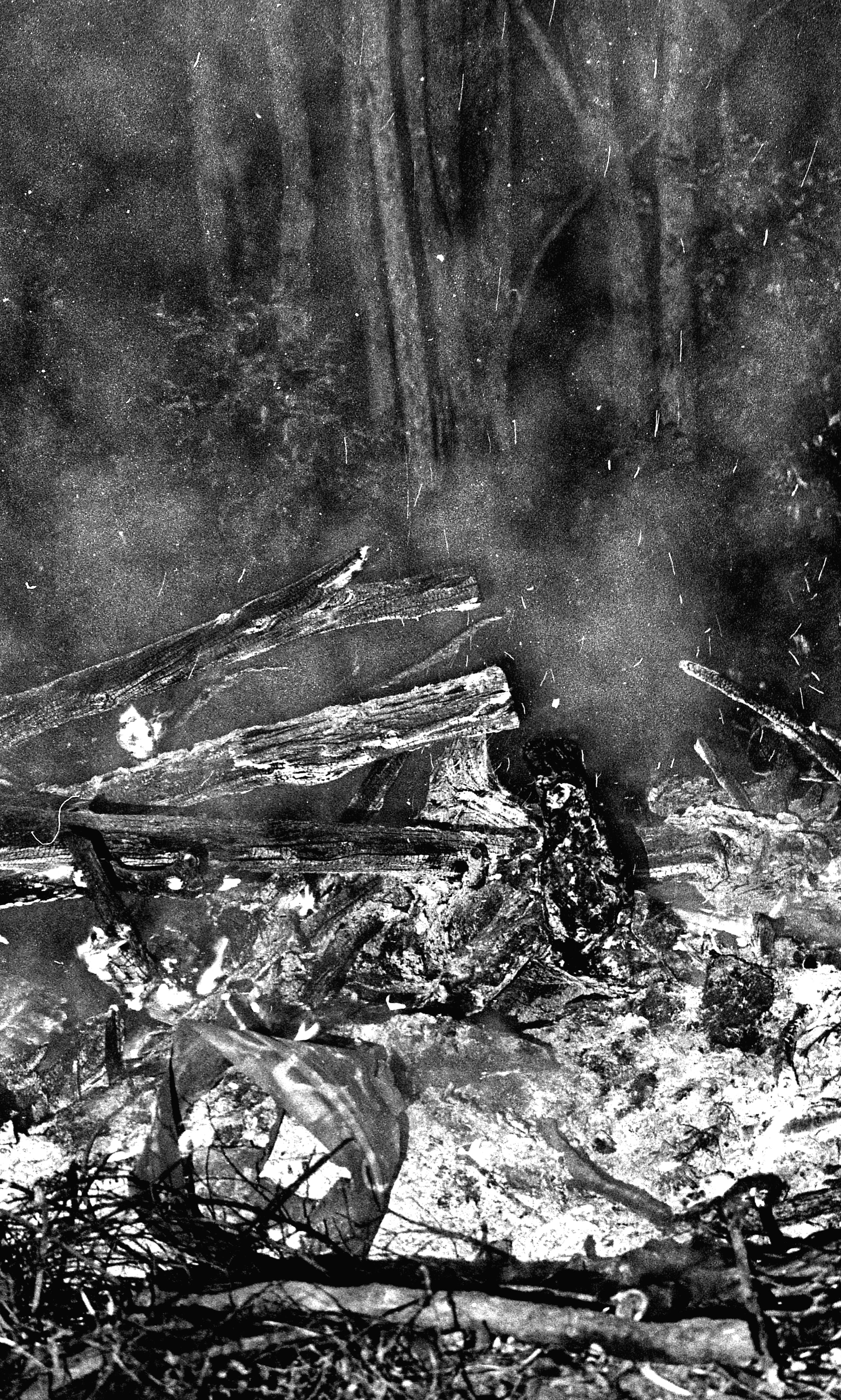 Bush Fire