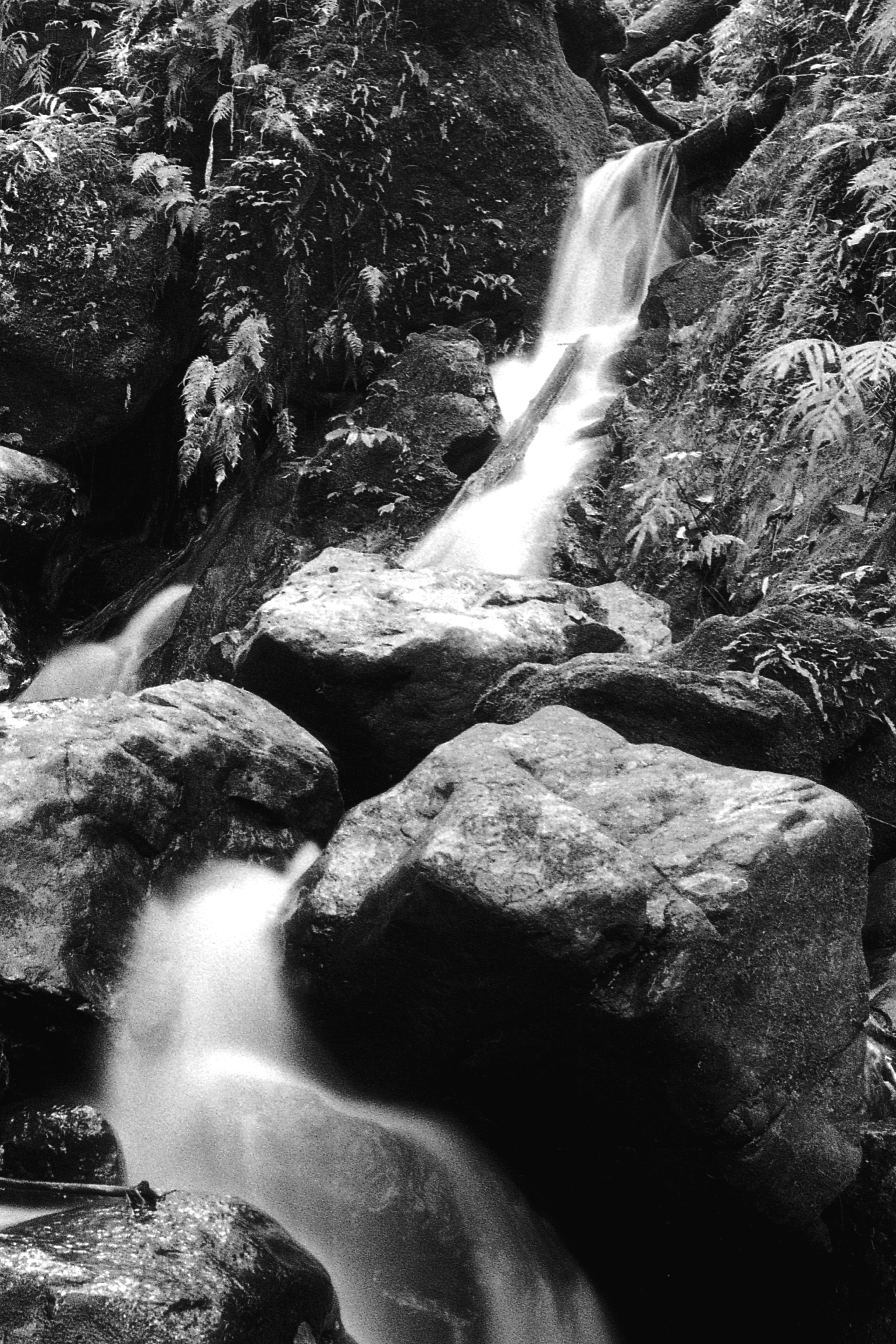 Dorrigo Falls
