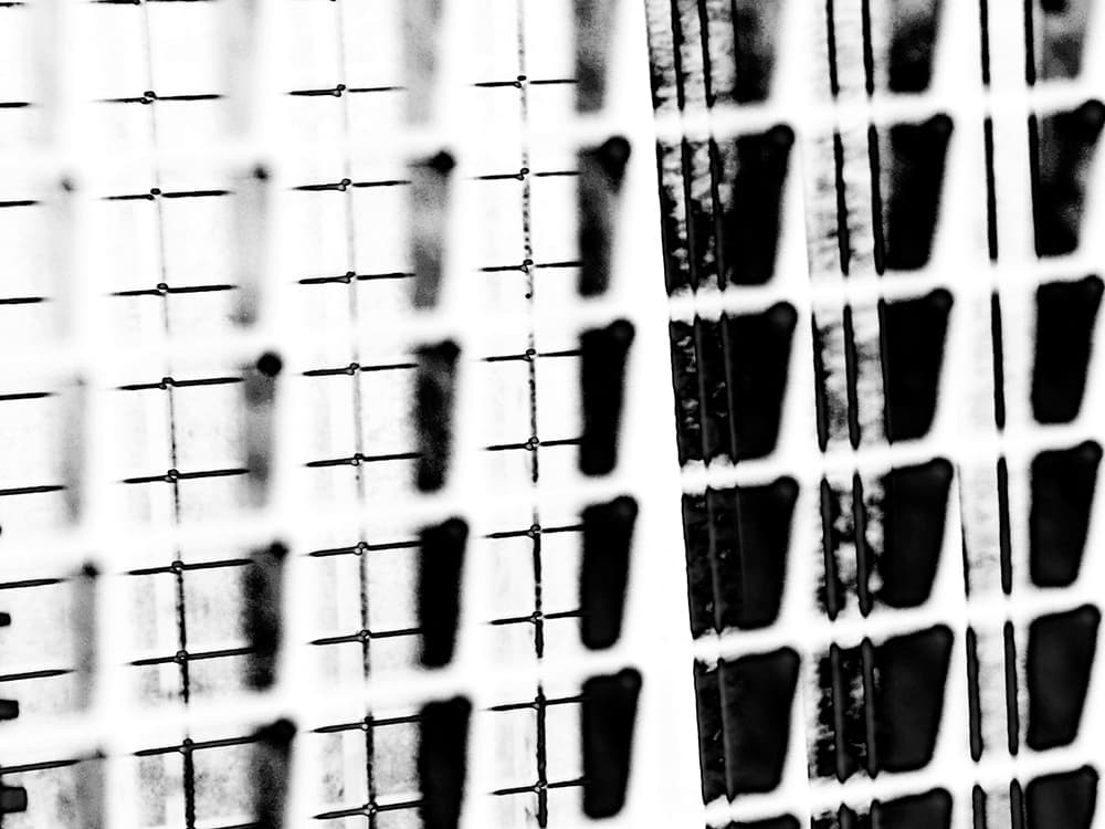 Käfiglandschaften_IV, („Caged Landscapes_IV“)