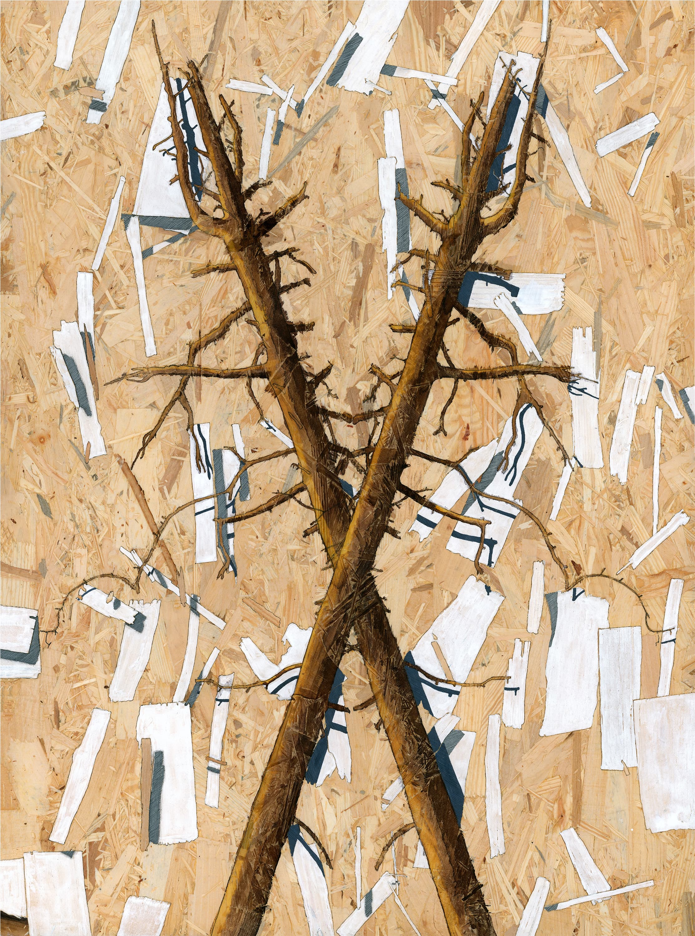 Clear-cut 002