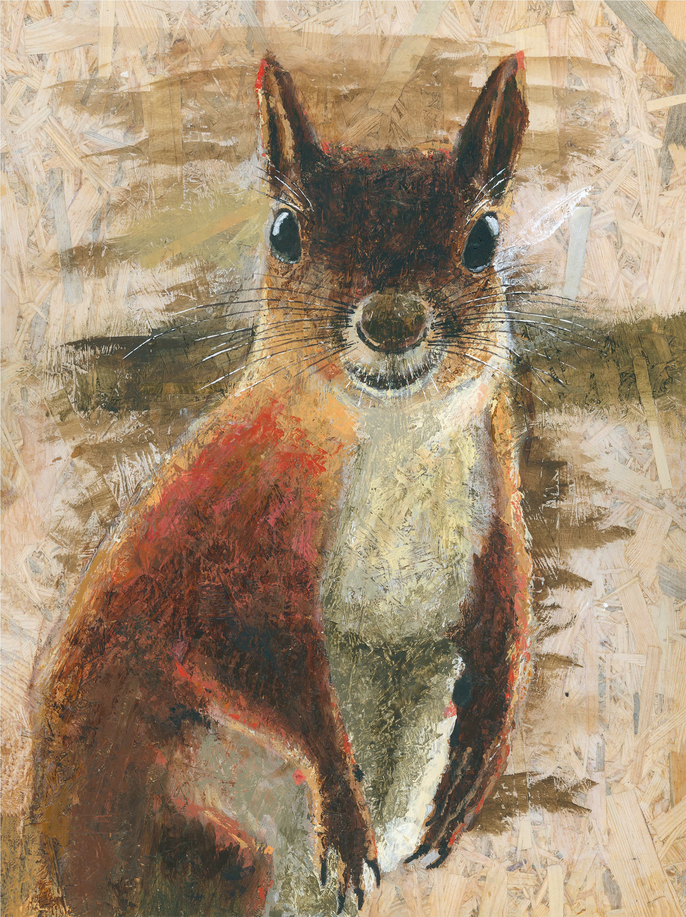 Squirrel