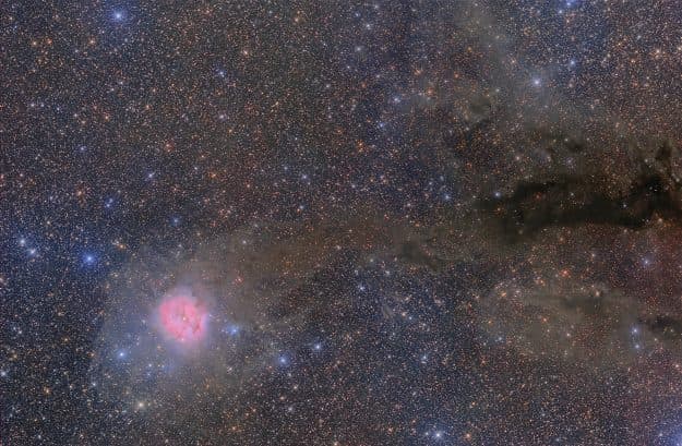 COCOON NEBULA