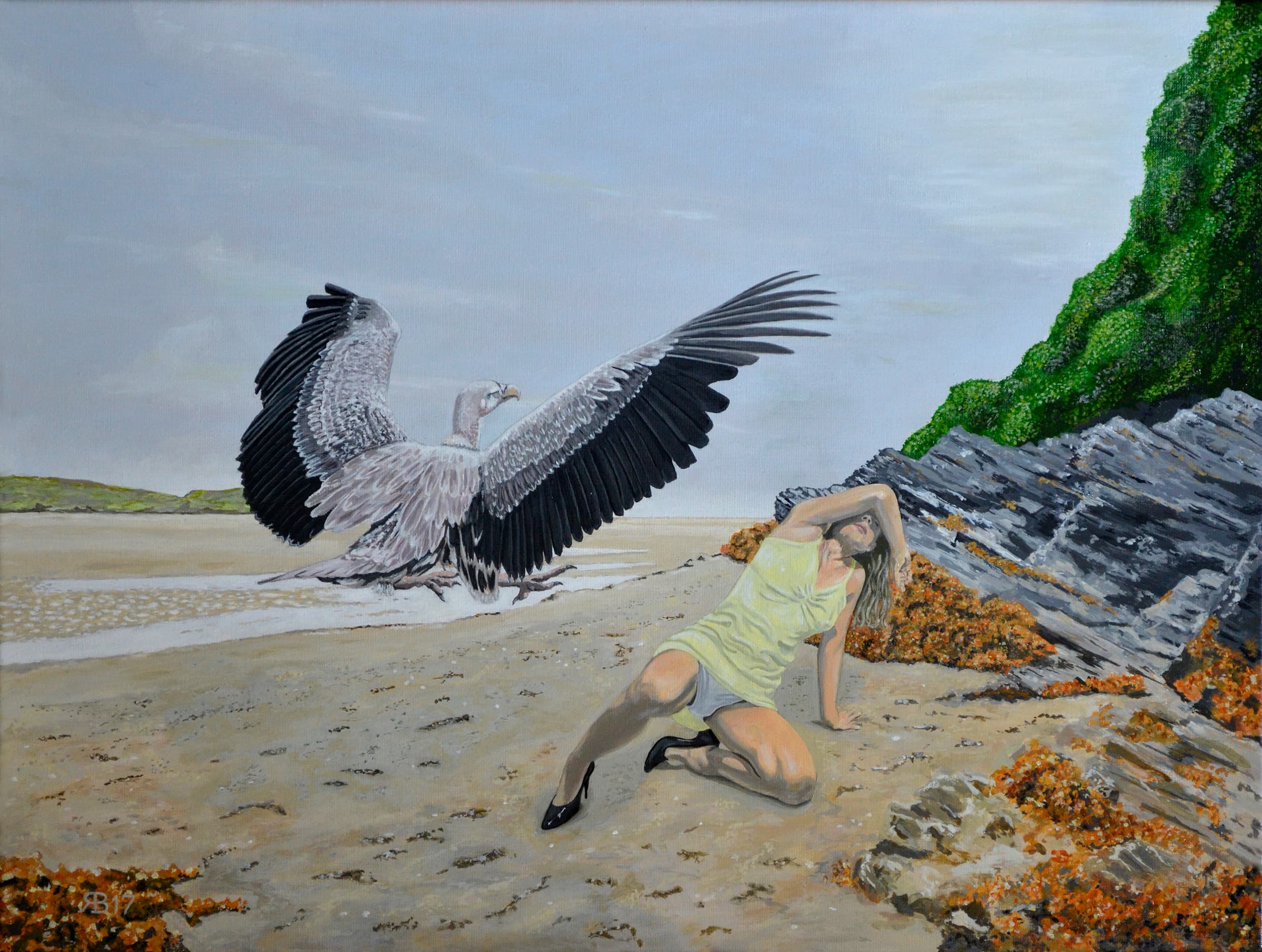 Beach vulture