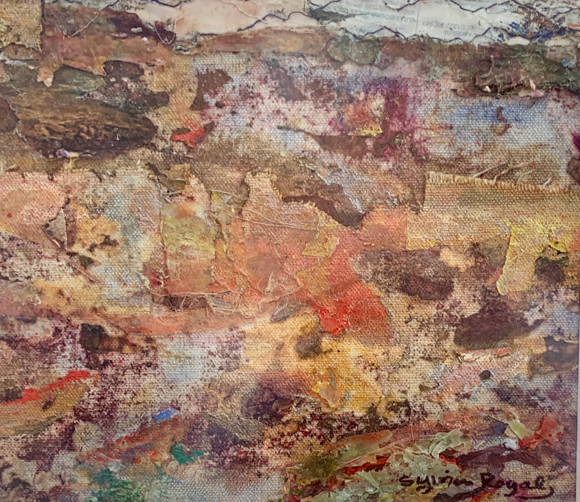 Rock Pools