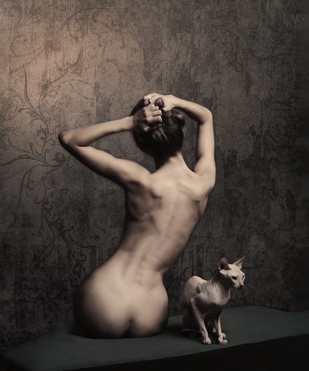 "Cats"