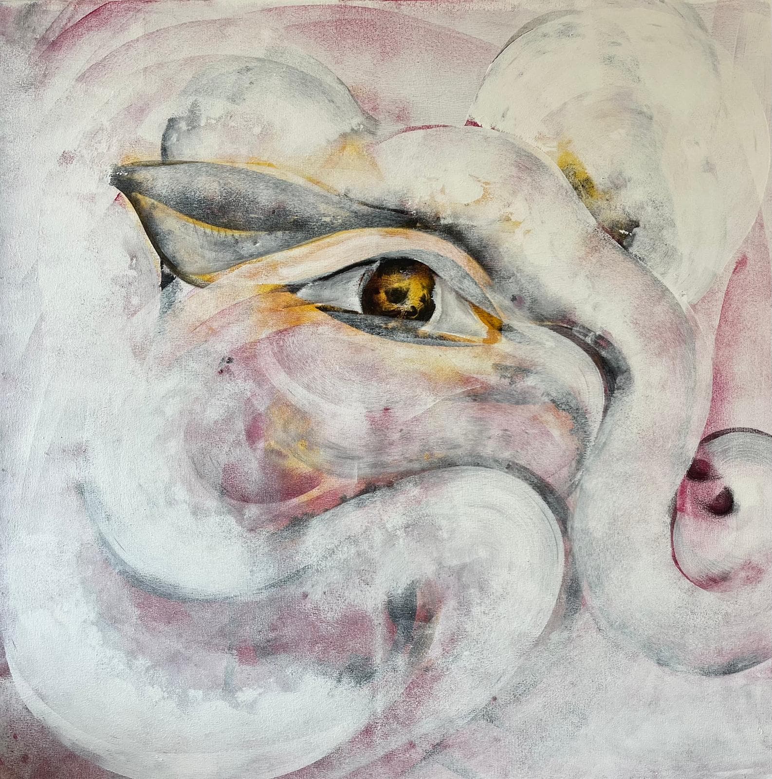 The eye