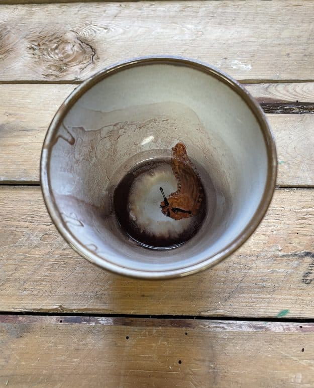 from the series; "Dirty Dishes” Mug.02   coffee,angry snail