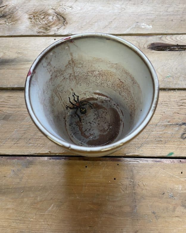from the series; "Dirty Dishes” Mug.02    coffee,lipstick,spider