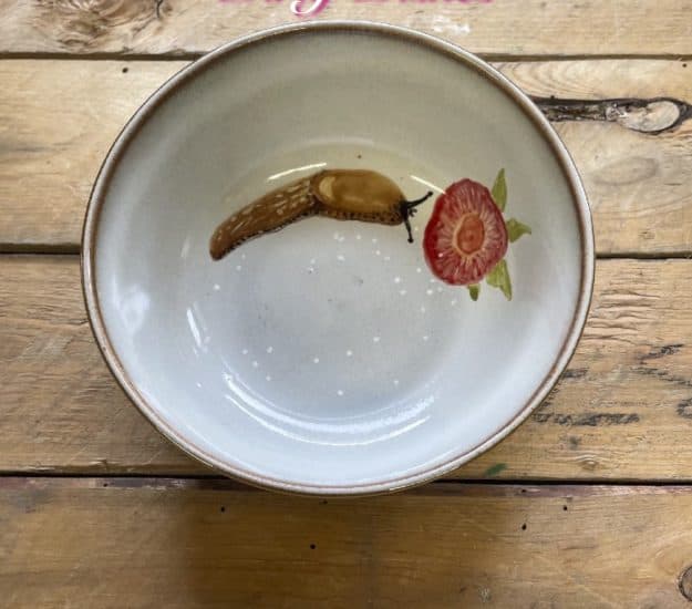 from the series; "Dirty Dishes” Bowl.01   snail,strawberry