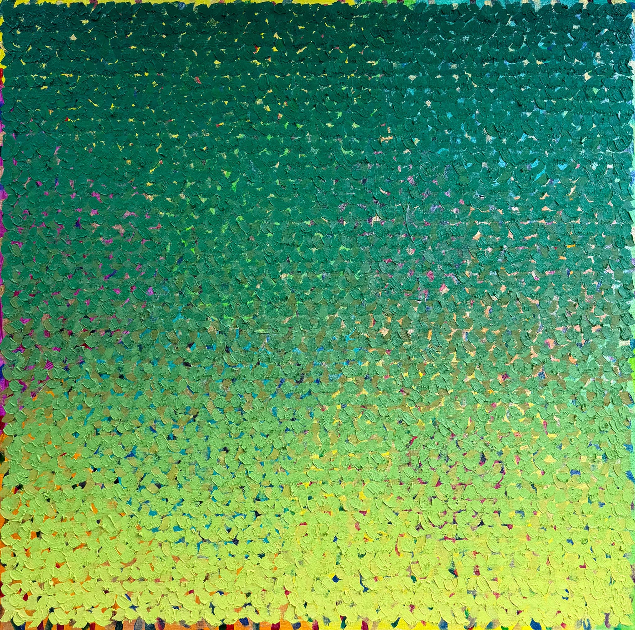 20264040A