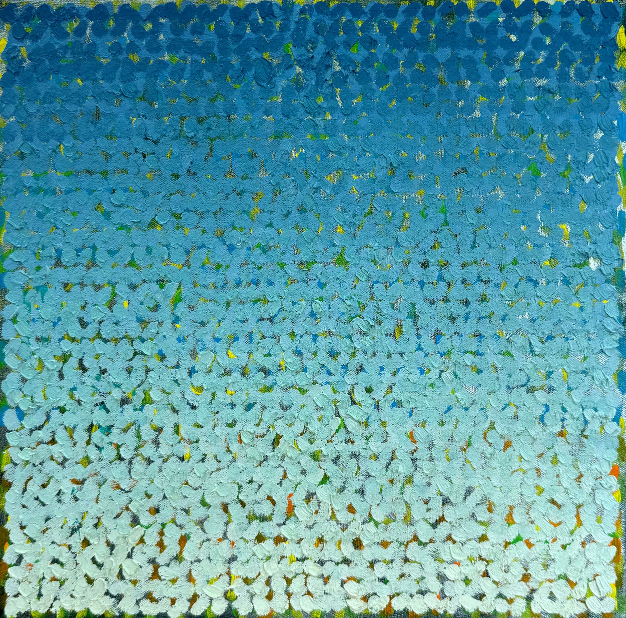 20261616B
