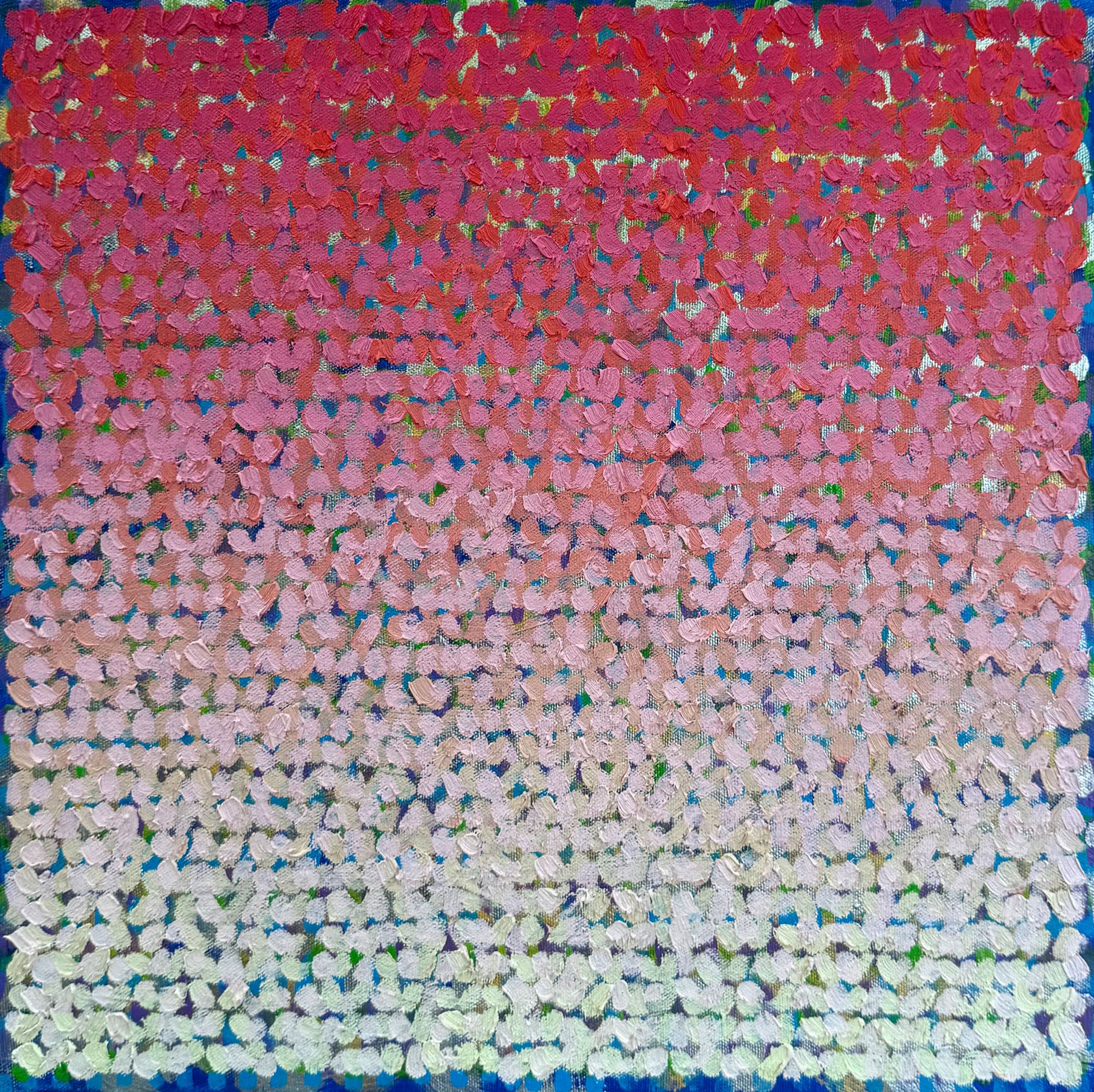 20261616A