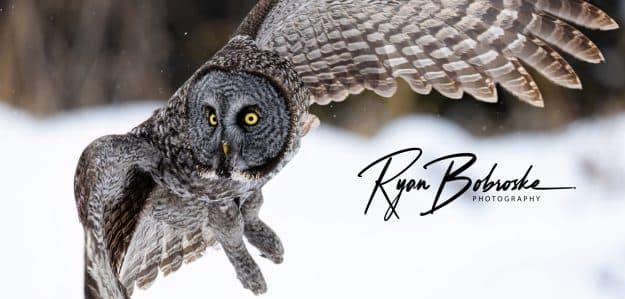 Ryan Bobroske Photography