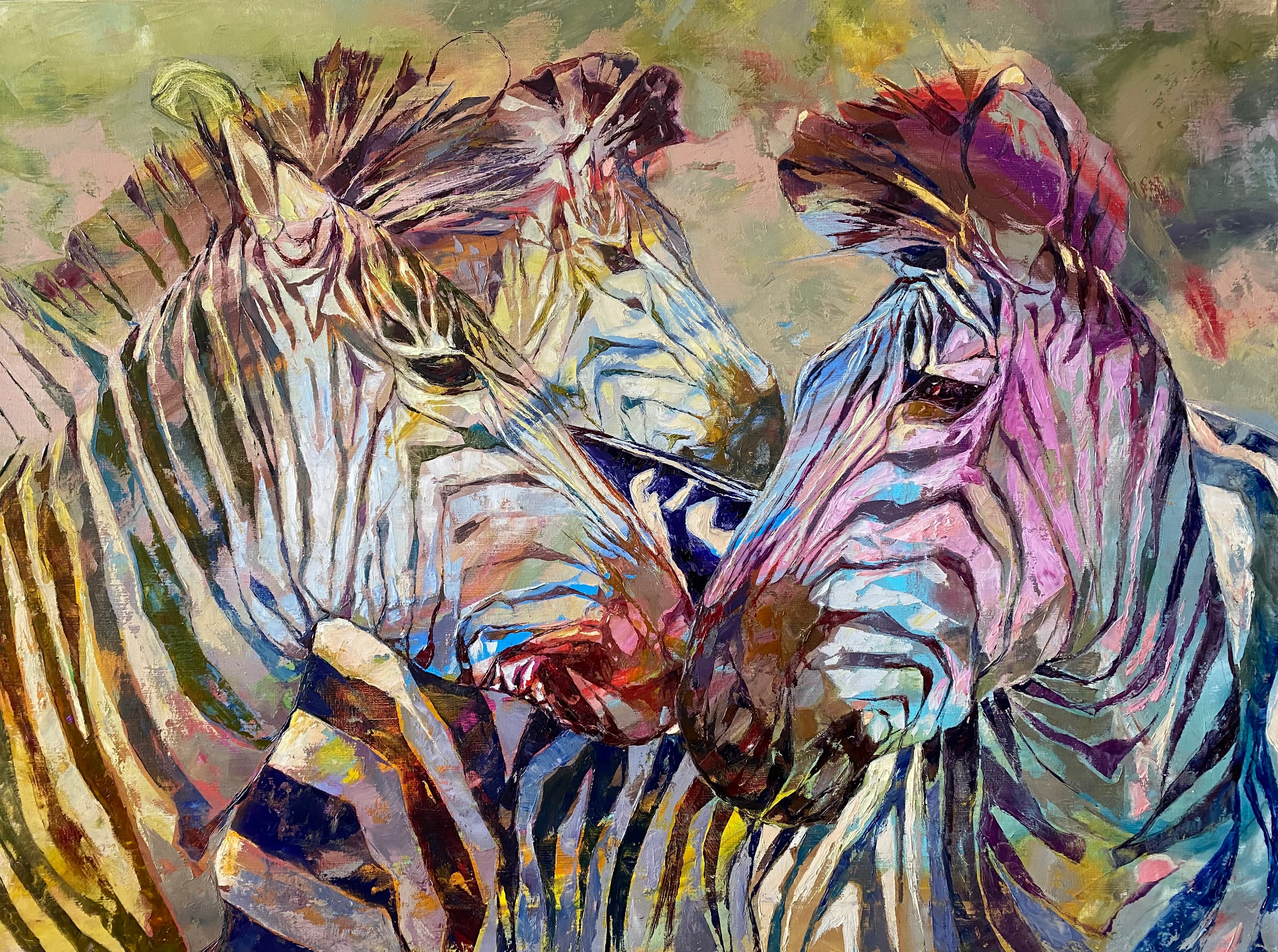 Zebras