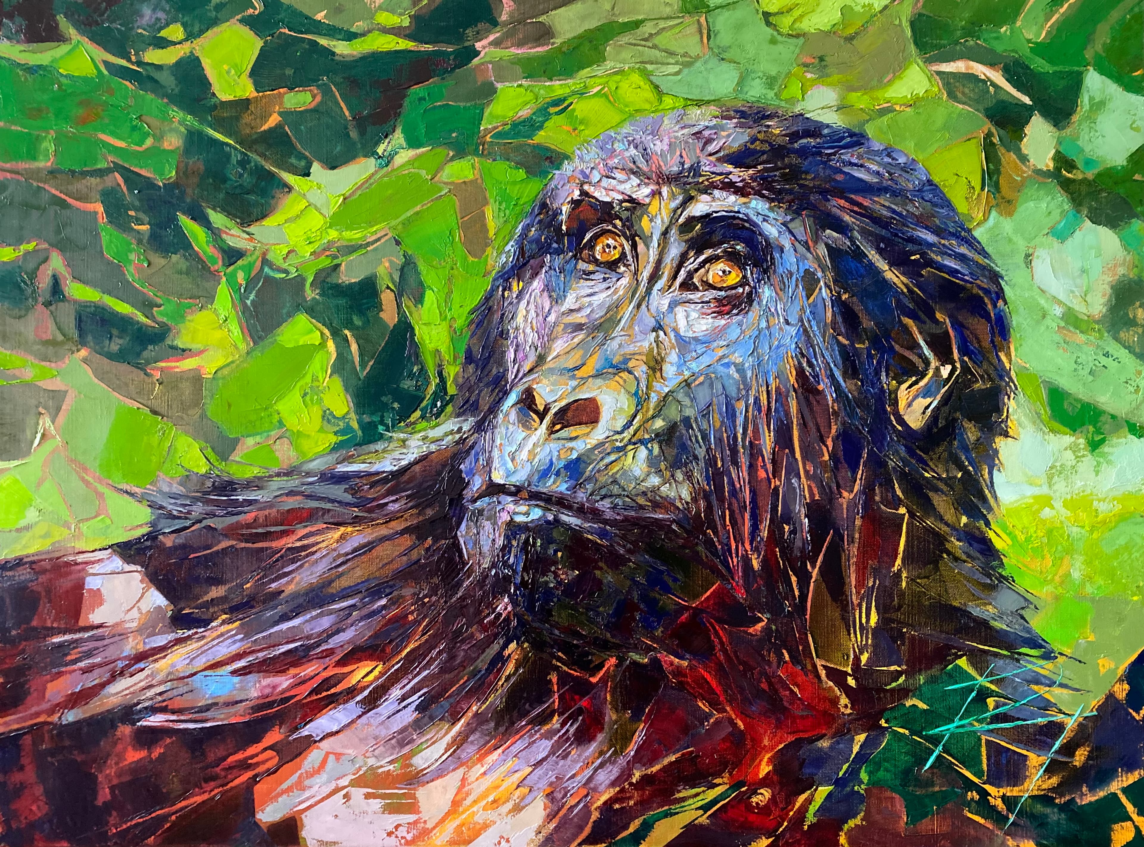 Gorilla