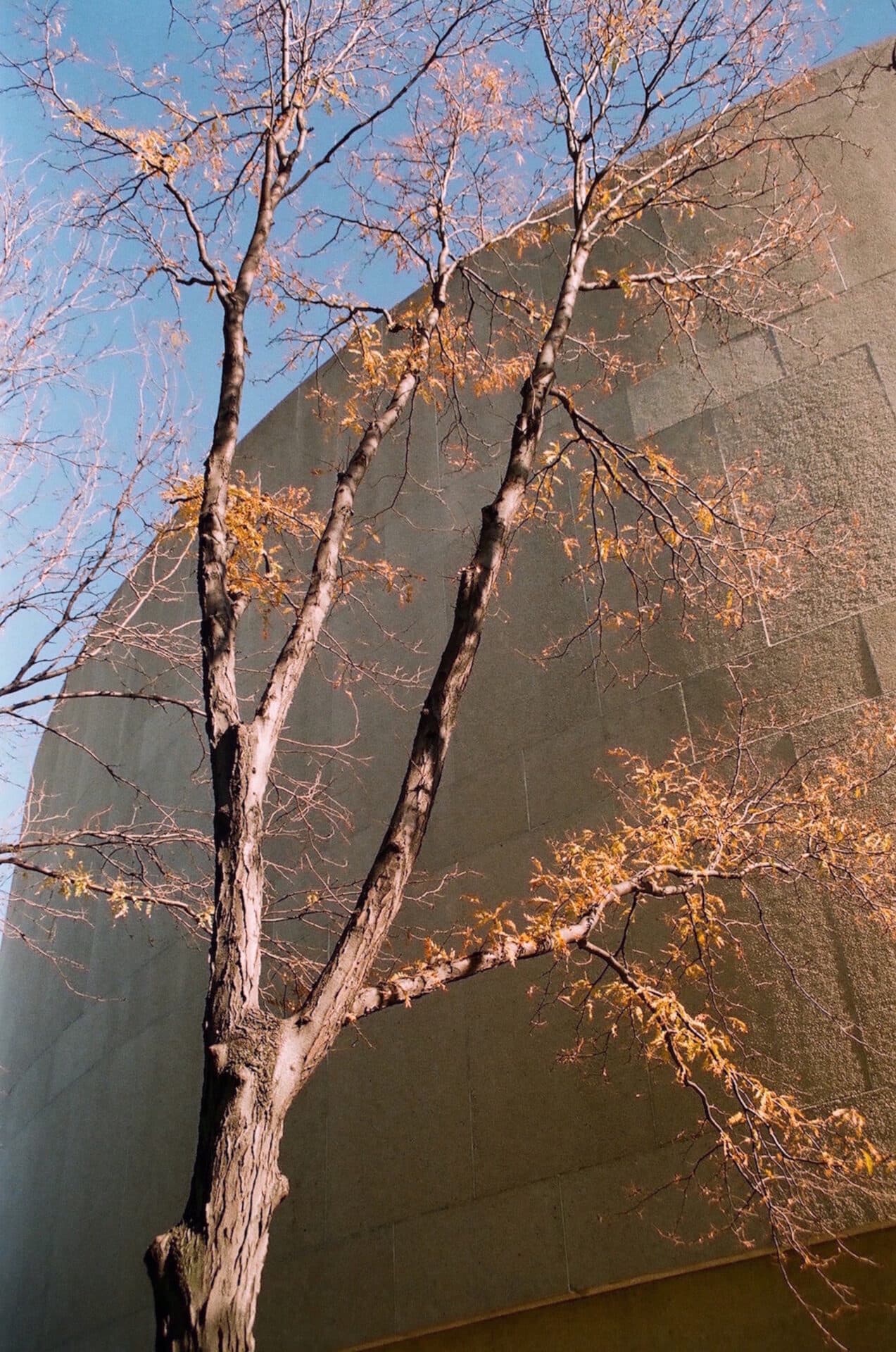 Hirshhorn