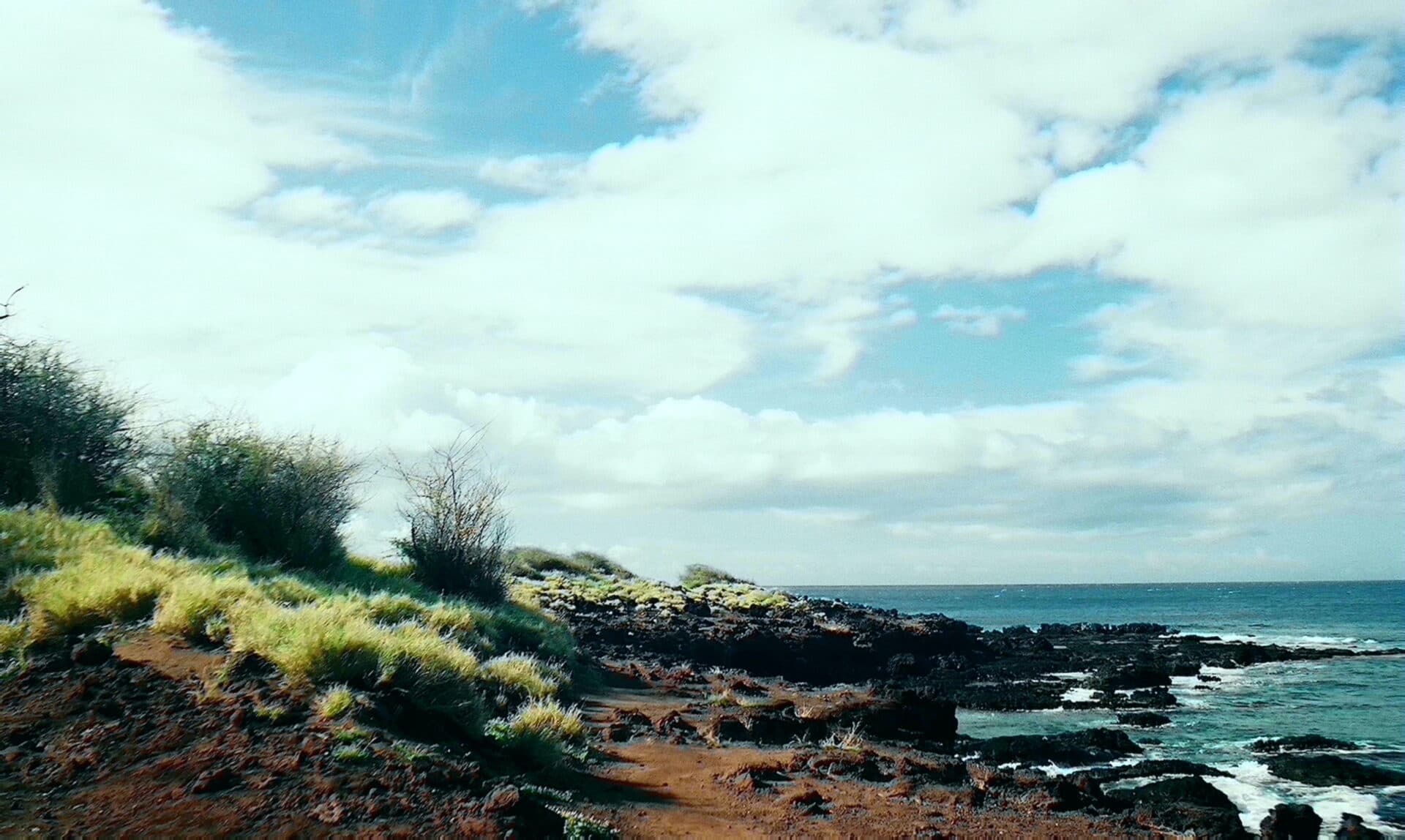 Lanai Shoreline