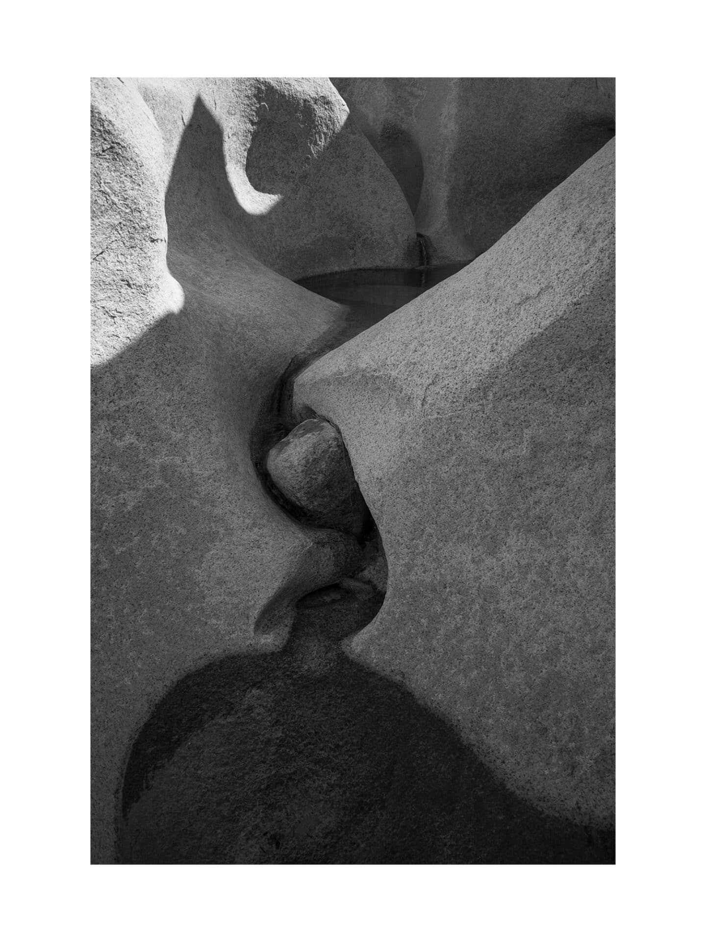 Rattlesnake Canyon, Joshua Tree, California I