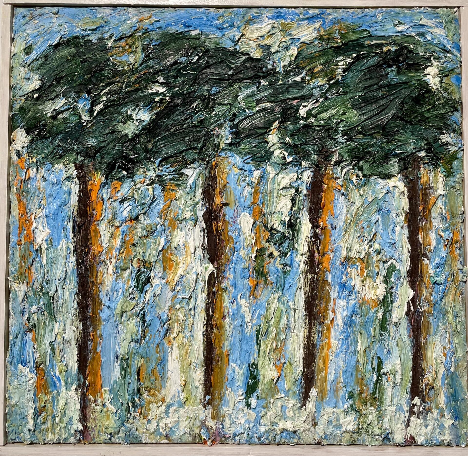 Pine trees