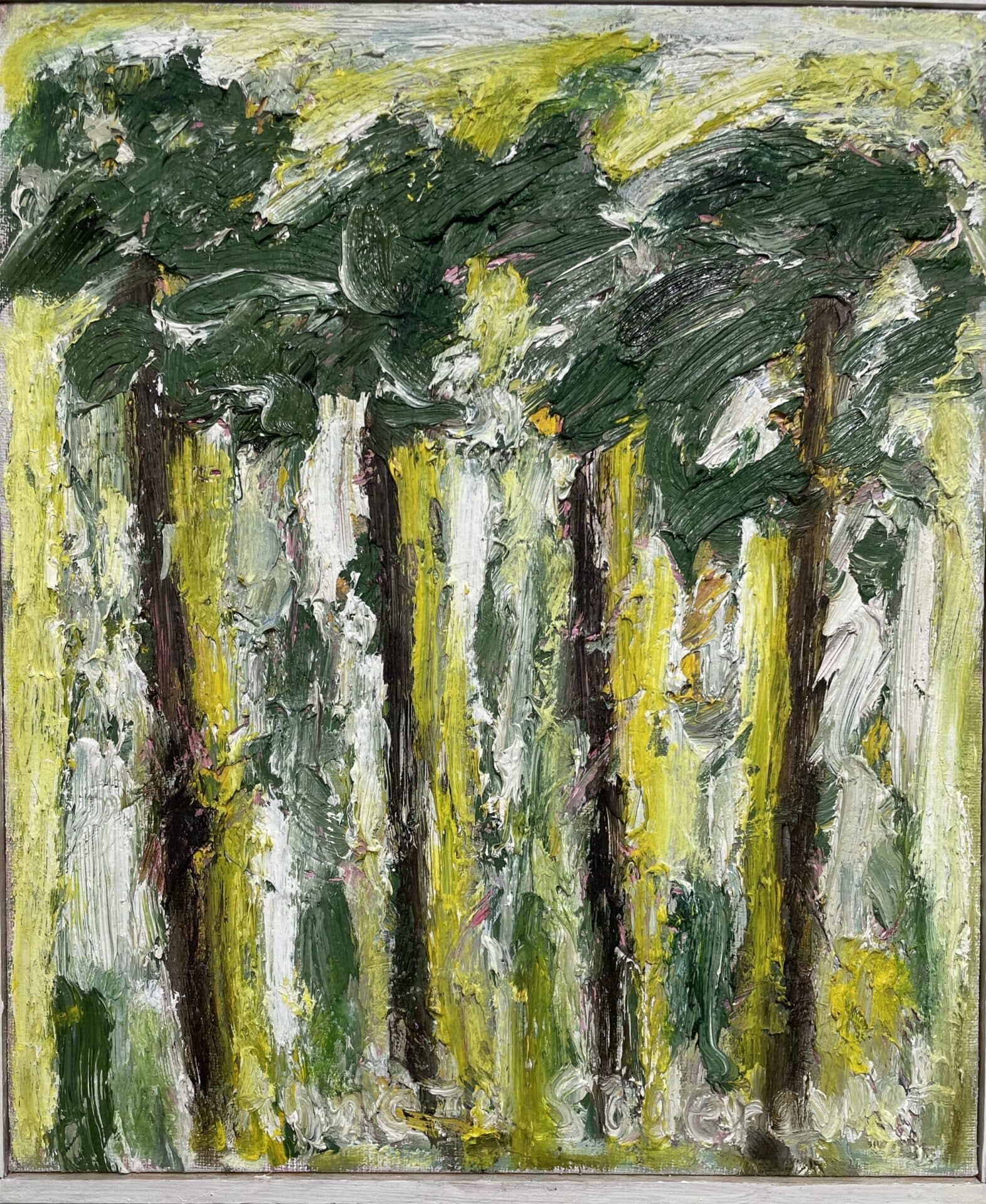 Pine trees