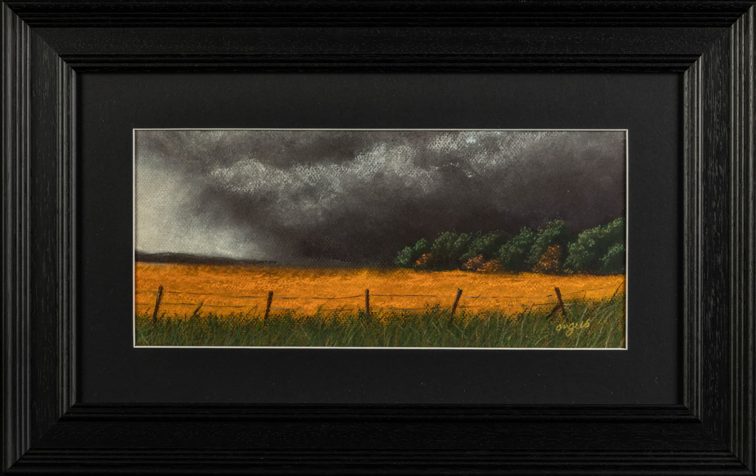 Storm Over Yellow Field