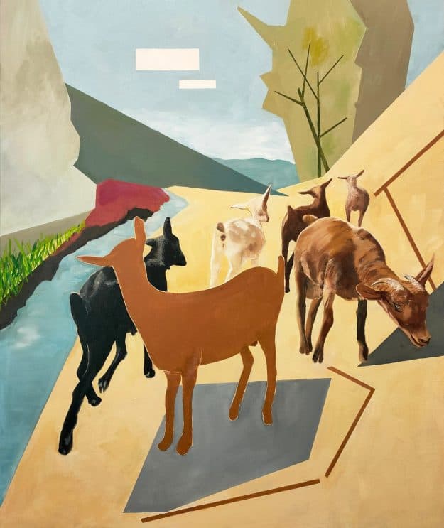 'Mistery goat'