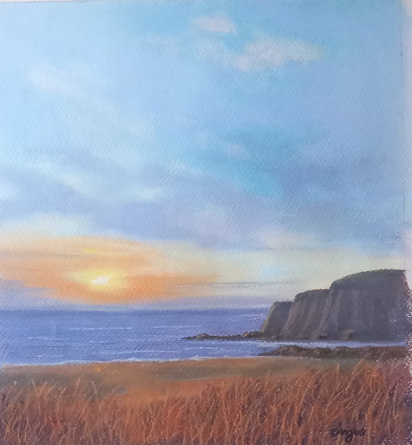 Elie Coastline