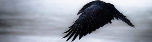 Messenger of the North