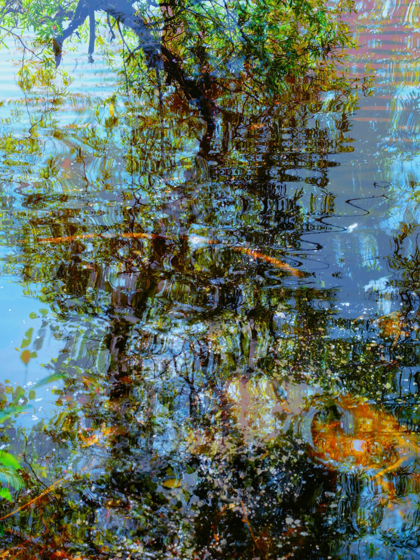 Quintessence