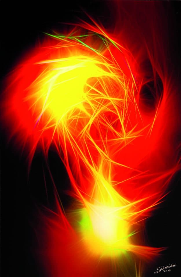 floral fireworks II