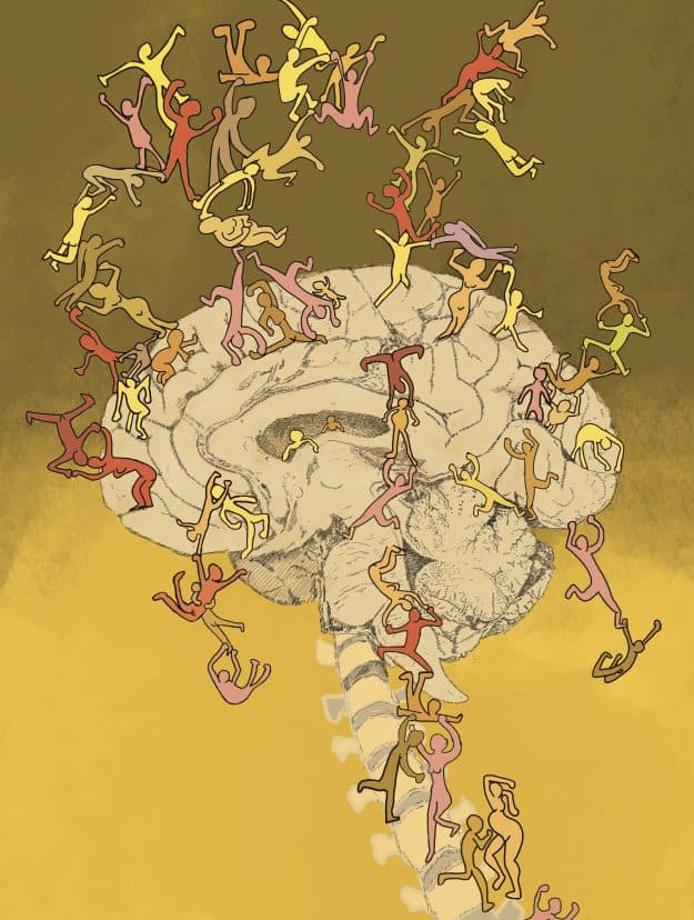 Anatomy of connection
