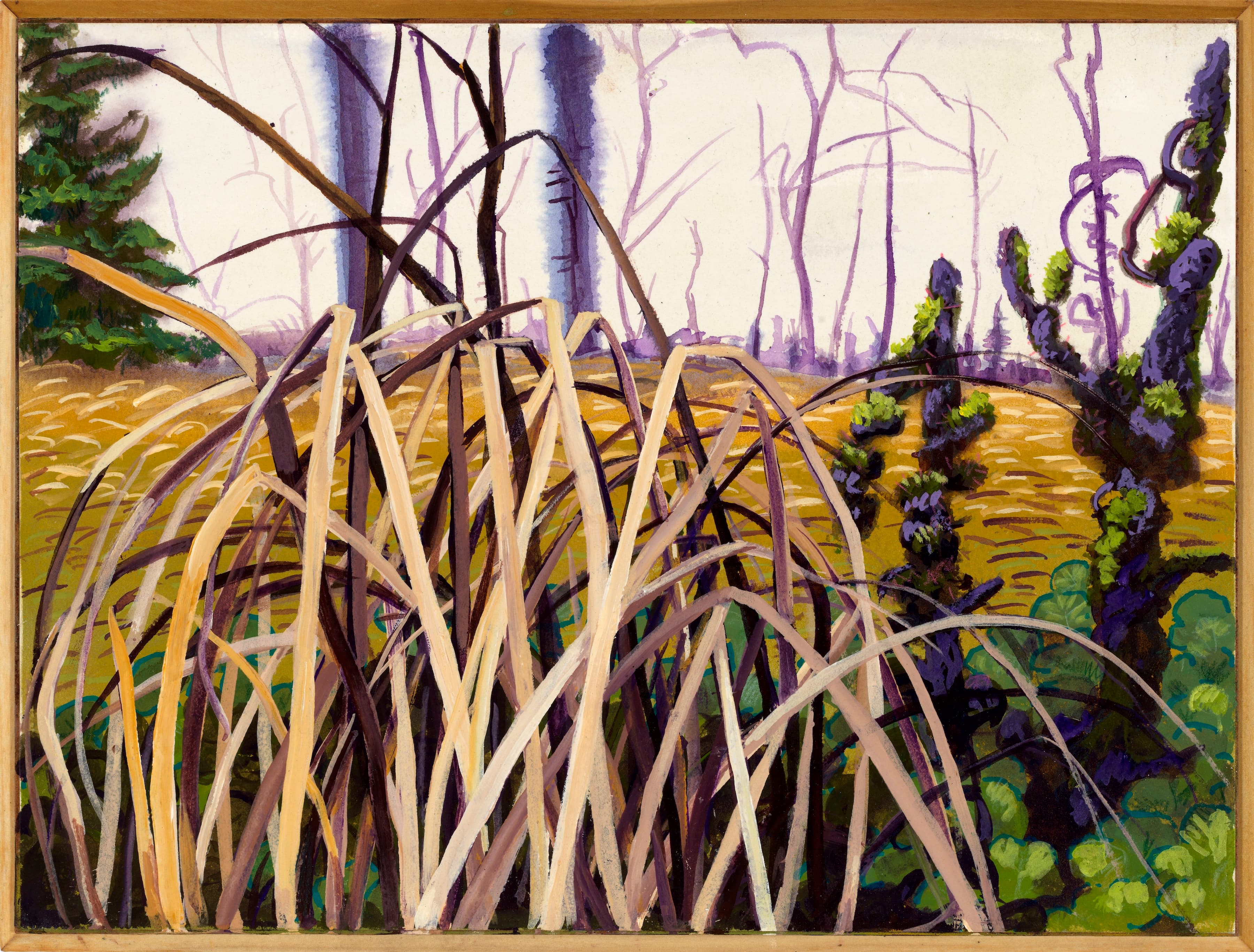 "Suburban Garden"