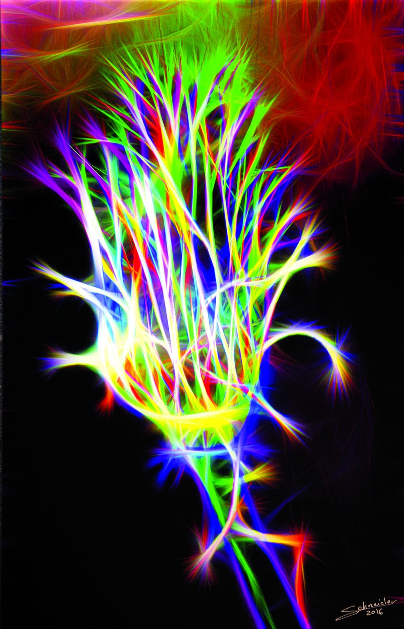 floral fireworks I